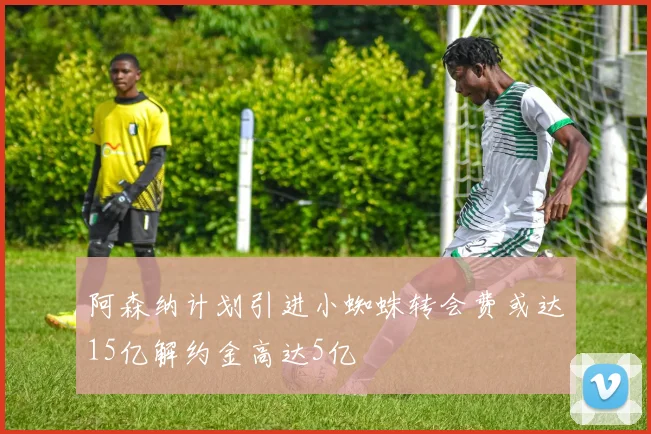 阿森纳计划引进小蜘蛛转会费或达15亿解约金高达5亿