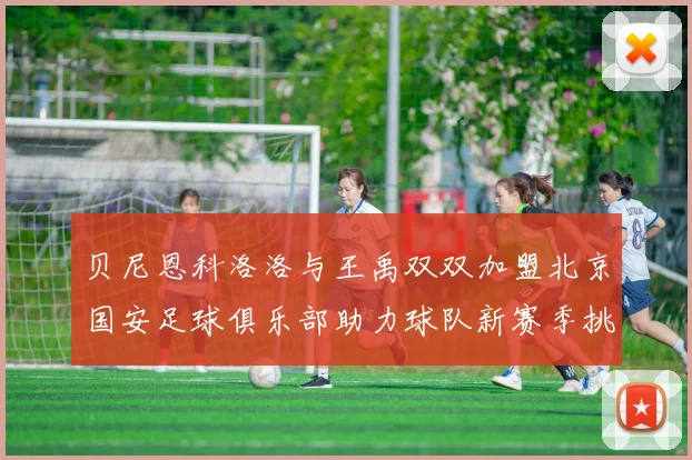 贝尼恩科洛洛与王禹双双加盟北京国安足球俱乐部助力球队新赛季挑战