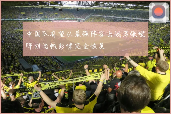 中国队有望以最强阵容出战若张瑷晖刘浩帆彭啸完全恢复
